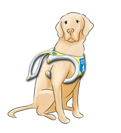The new guide dog harness